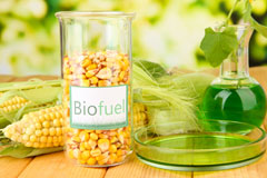 Mathern biofuel availability